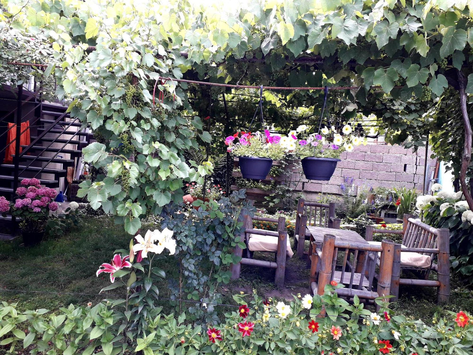 Holiday Home Боржомі Екстер'єр фото